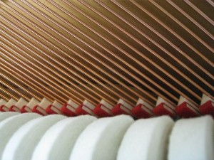 bassstring