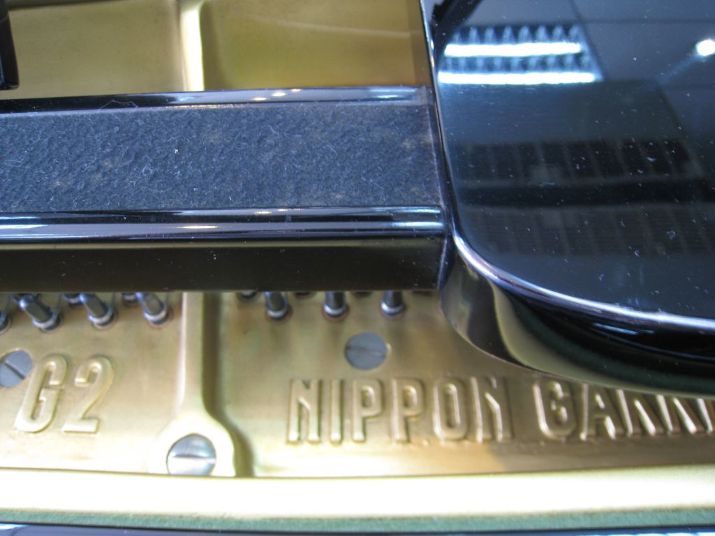 Yamaha G2 Model